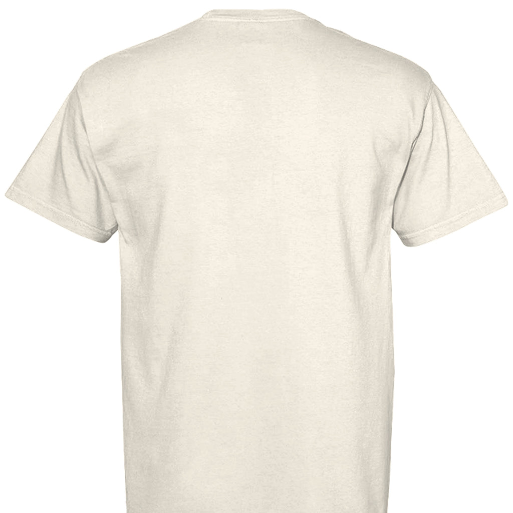 IVORY - C1717 - BACK