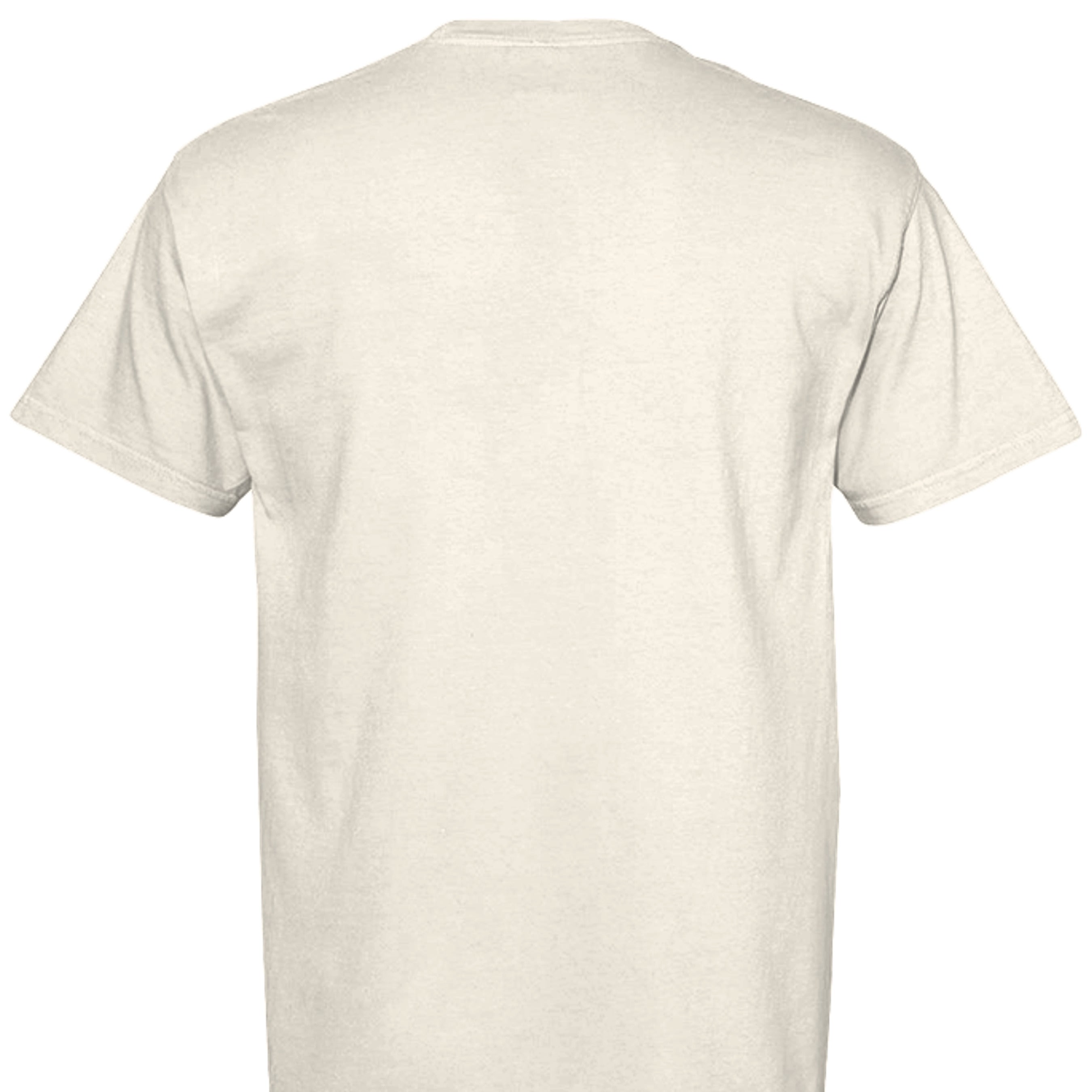 IVORY - C1717 - BACK